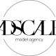 adscale logo