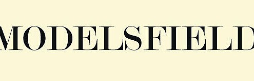 modelsfield logo