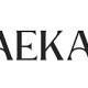 paekar logo
